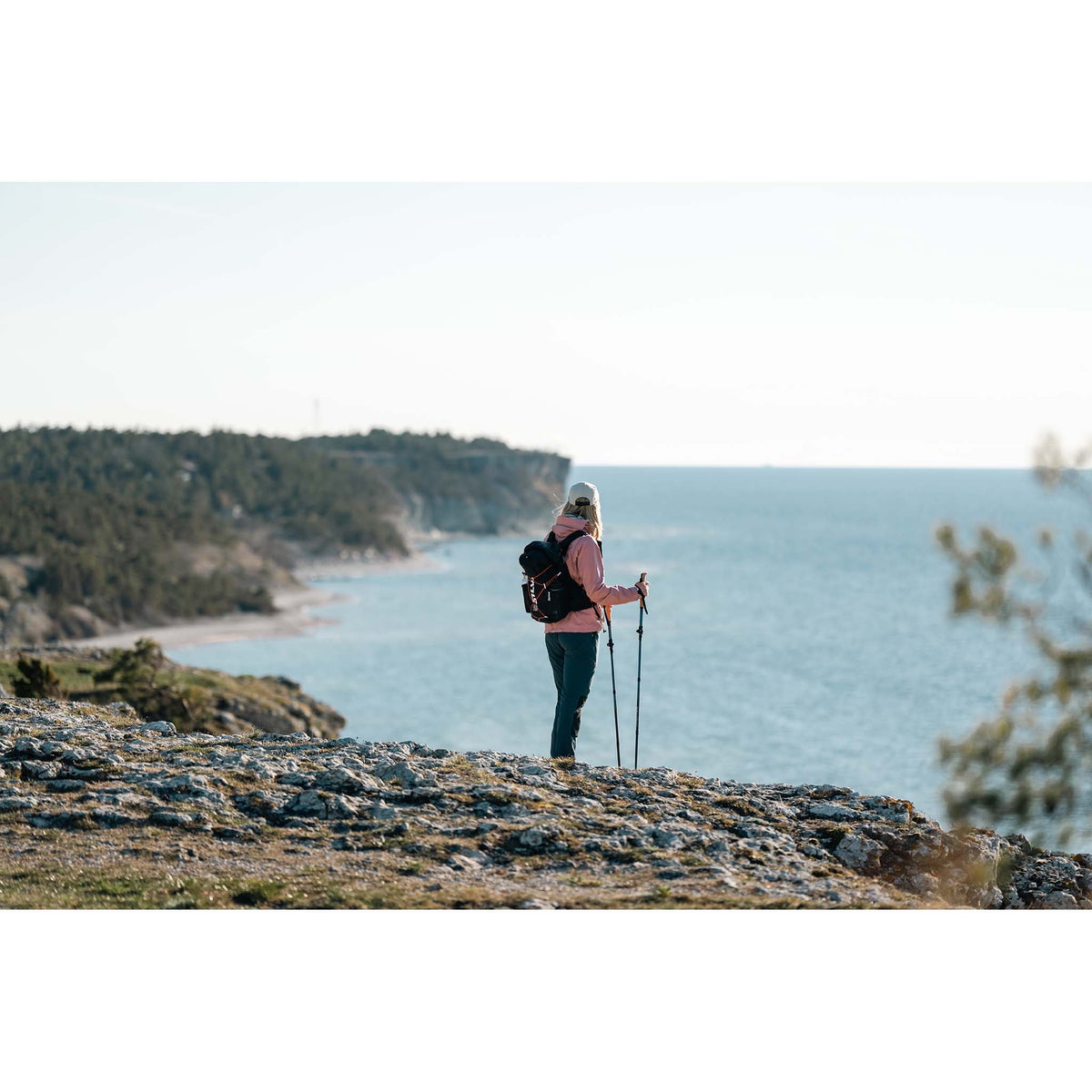 Trekking Poles | Carbon | Telescopic | 140cm Silva 38612 Walking Poles One Size / Blue