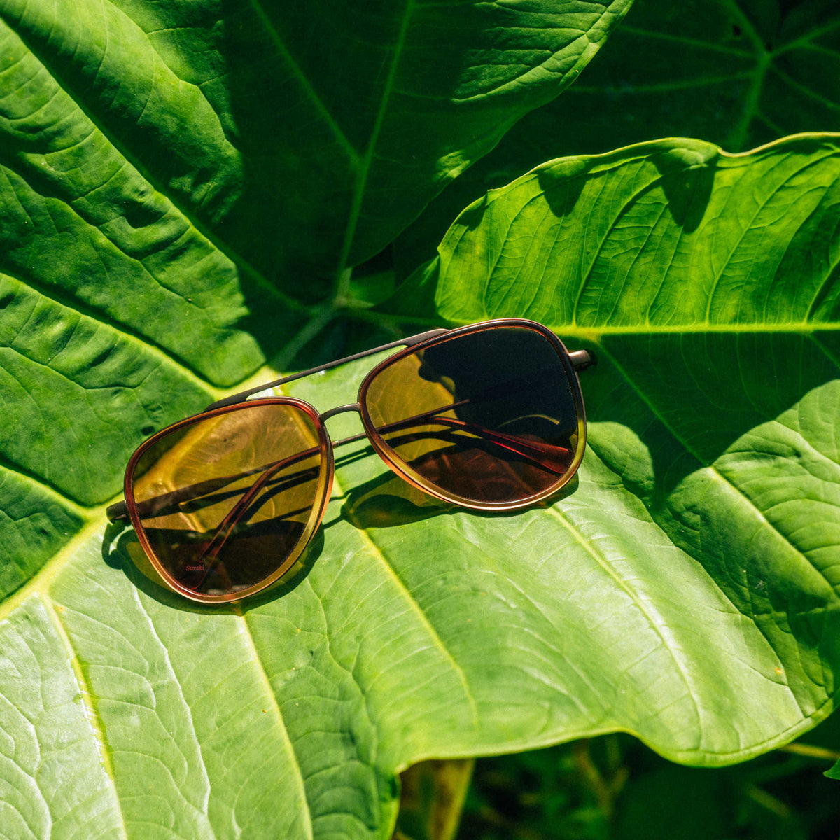 Sirocco Sunski SUN-SI-SAM Sunglasses One Size / Solstice Amber