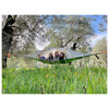 Stingray Tree Tent | 3 Person Tentsile S3DG Tents 3 person / Dark Grey