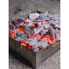 Fire Safe Wolf and Grizzly 627843867593 Firepits One Size / Stainless Steel