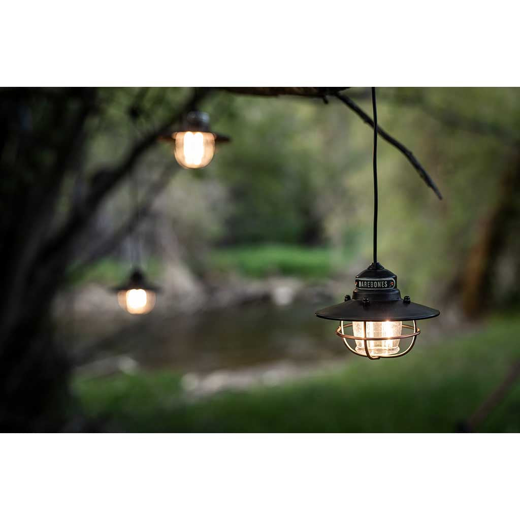 Edison String Lights Barebones Living LIV-265 String Lights One Size / Bronze