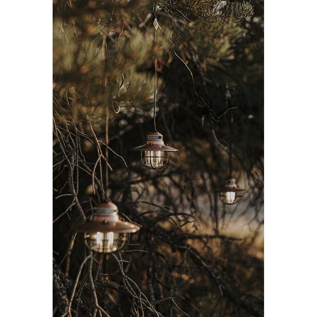 Edison String Lights Barebones Living LIV-269 String Lights One Size / Copper