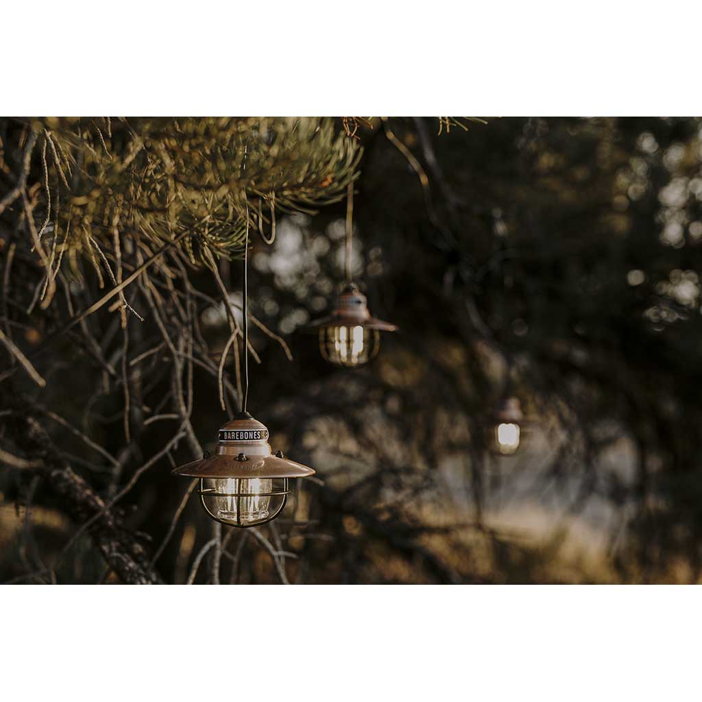 Edison String Lights Barebones Living LIV-269 String Lights One Size / Copper