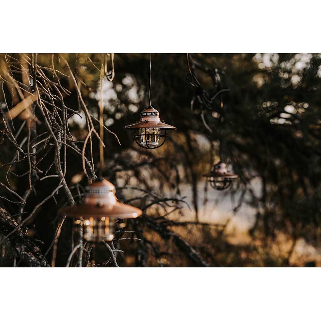 Edison String Lights Barebones Living LIV-269 String Lights One Size / Copper