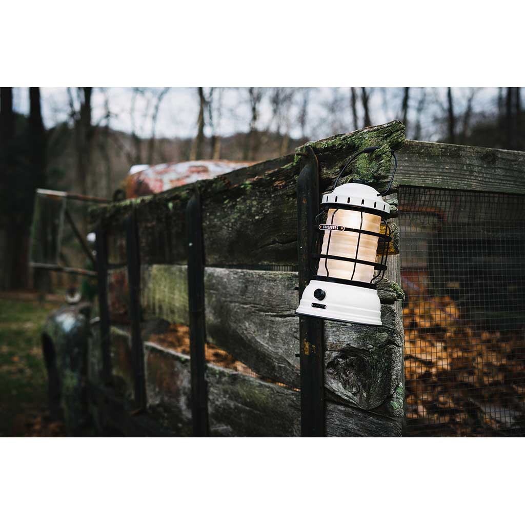 Forest Lantern Barebones Living LIV-162 Lanterns One Size / Vintage White