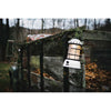 Forest Lantern Barebones Living LIV-162 Lanterns One Size / Vintage White