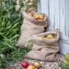 Jute Hessian Sacks | Set of 2 Garden Trading JSJU01 Sacks One Size / Jute