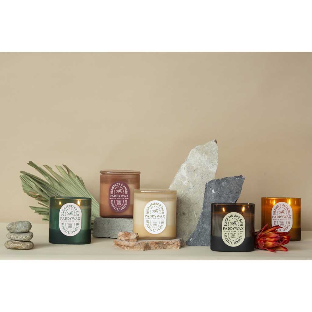 Vista 12oz Candle | Cactus Flower & Aloe Paddywax PWVS1005 Candles 12oz / Green